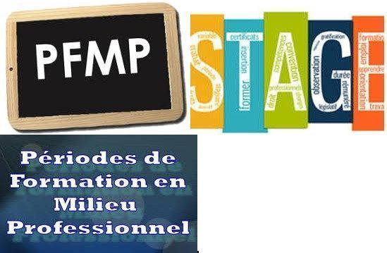 Organisation des PFMP – Bienvenue  CITE SCOLAIRE QUERAL  TROIS RIVIERES