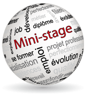 Ouverture des mini-stages